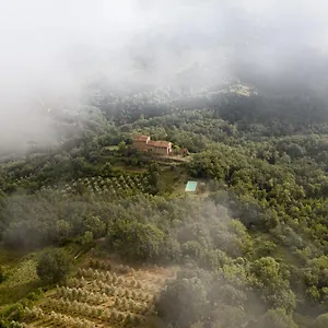 Agriturismo Toscanna Alloggio per agriturismo Borselli